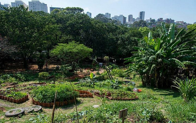 A Horta da Coruja começou a ser organizada em 2012 por um grupo no Facebook. Foto: Divulgação.