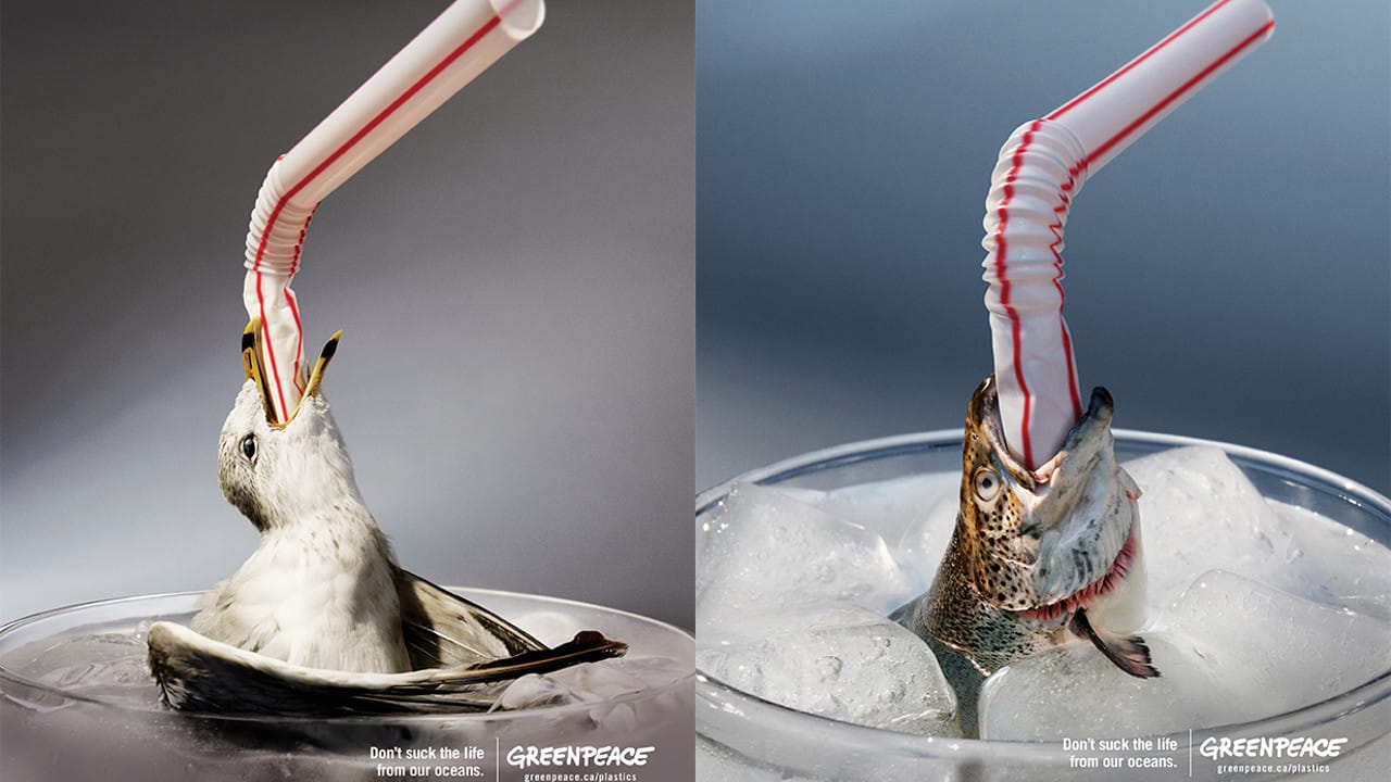 Campanha do Greenpeace mostra animais com canudos presos na boca para alertar sobre as consequências do uso do plástico. Imagens: Greenpeace / Divulgaçaõ.