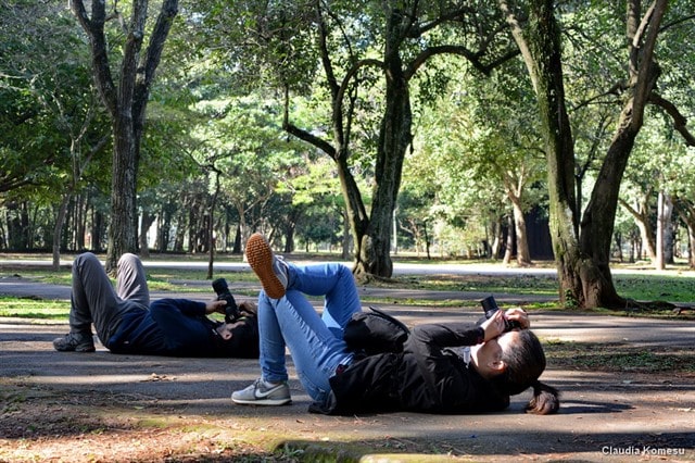 Birdwatching em parque urbano de São Paulo. Foto: Cláudia Komesu / Virtude - AG.