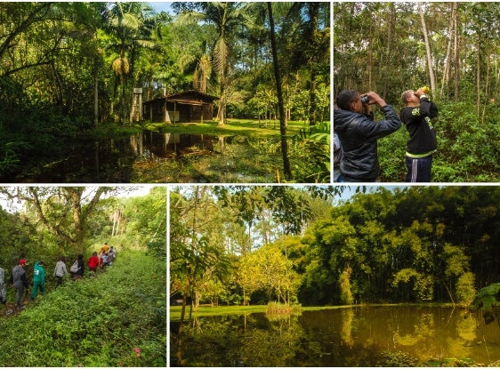 O Parque Natural Municipal Varginha (PNM Varginha) está localizado no bairro Chácara Santo Amaro, Distrito do Grajaú, na Zona Sul do município de São Paulo. Fotos: SVMA. 