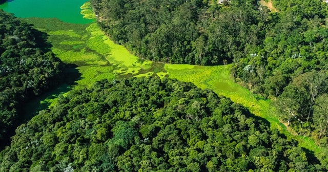 O PNM Bororé é fruto dos recursos de compensação ambiental referentes ao licenciamento do trecho sul do Rodoanel Mário Covas. Foto: SMVMA.