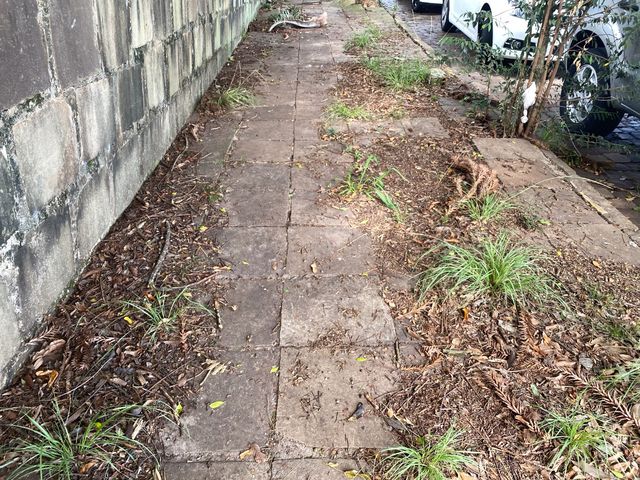 Calçada em zona residencial de Passo Fundo (RS). A calçada existe, porém as condições de manutenção e limpeza podem inviabilizar o seu uso. Foto: Ana Paula Wickert. 