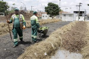 Novo pátio de compostagem de restos de feira e podas de árvores aberto no último dia 23 de novembro na Mooca. Foto: Divulgação / Amlurb.